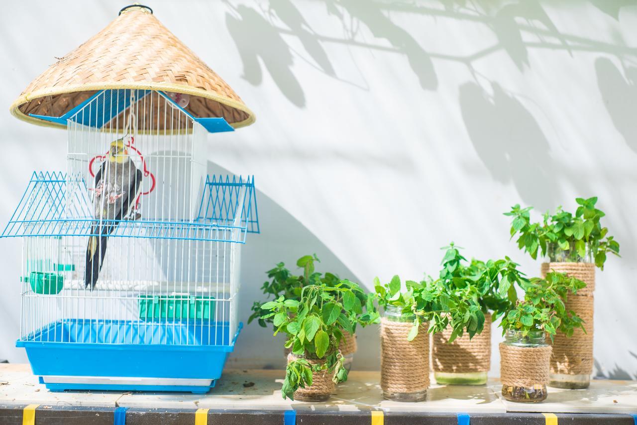 Sanya Passion Fruit Inn Zewnętrze zdjęcie